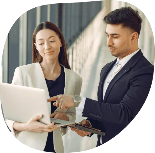 Search Engine Optimization Services - Hypochain Digital Marketing